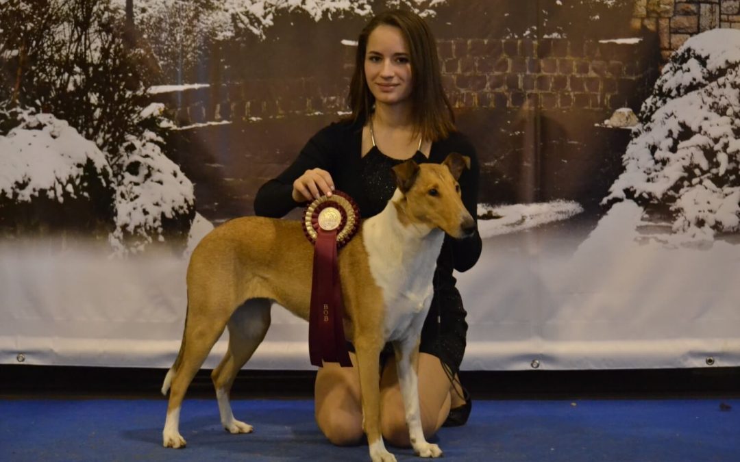 Výstava v Budapešti