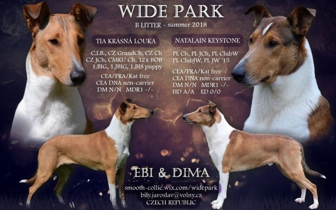 Máme nakryto – Ebi x Dima