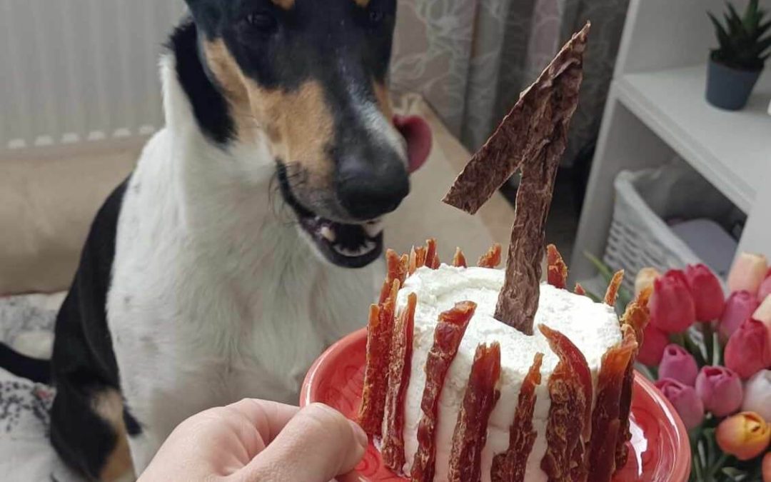 Grewia Wide Park slaví 1. narozeniny