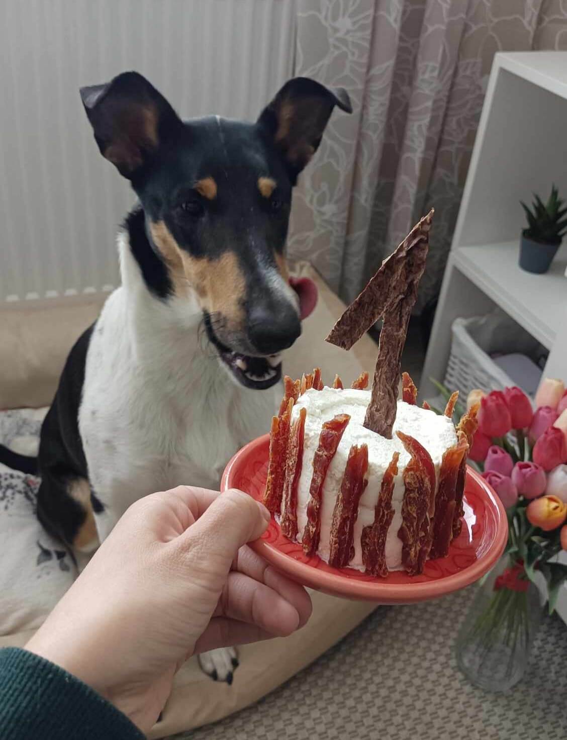 Grewia Wide Park slaví 1. narozeniny