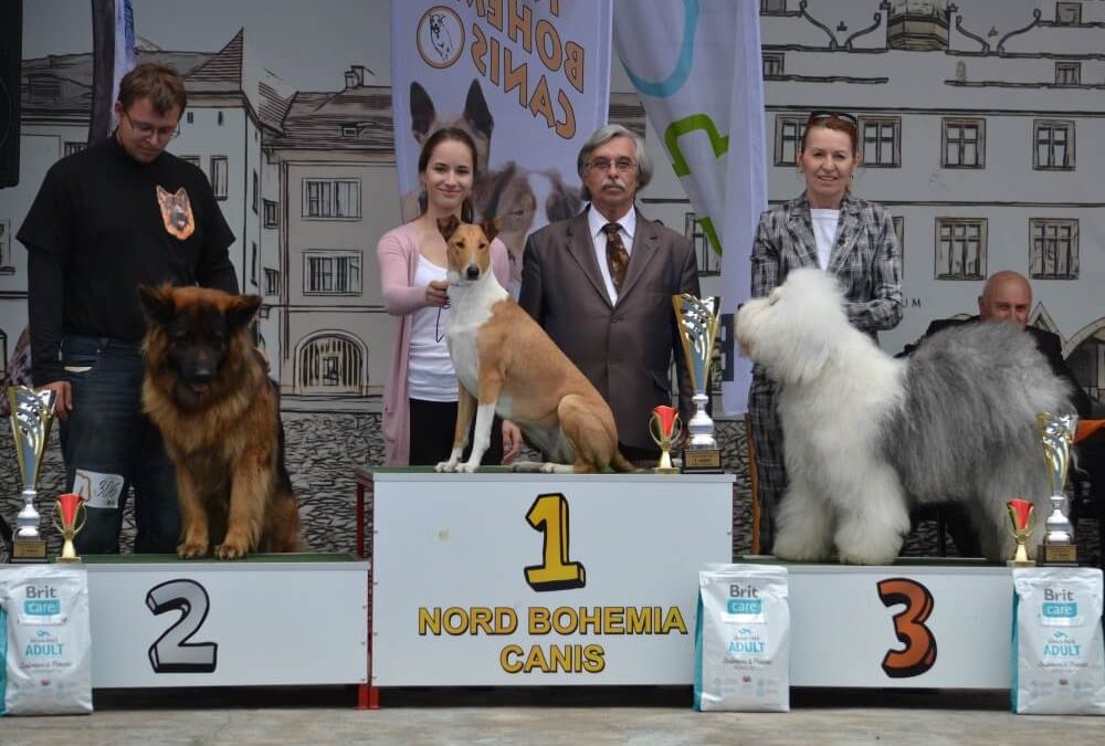 Výstava Litoměřice 20.5.2017