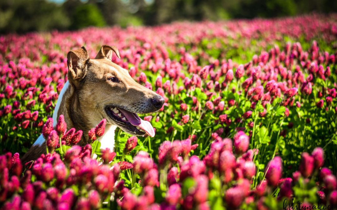 Acorus Wide Park – nové fotky