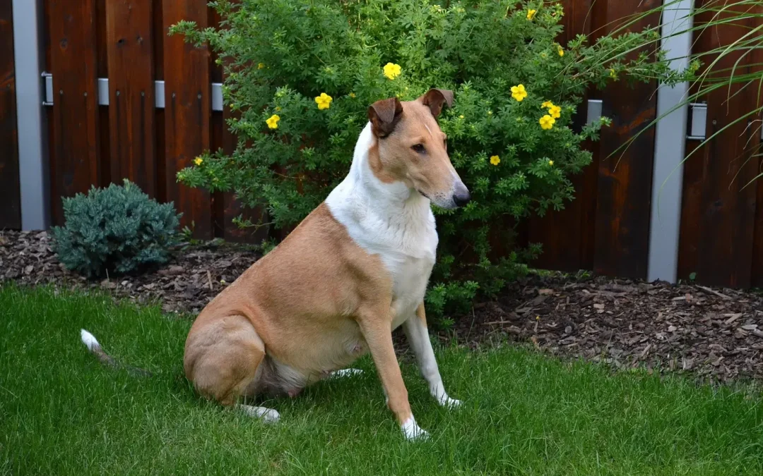 Pomalu se to blíží…