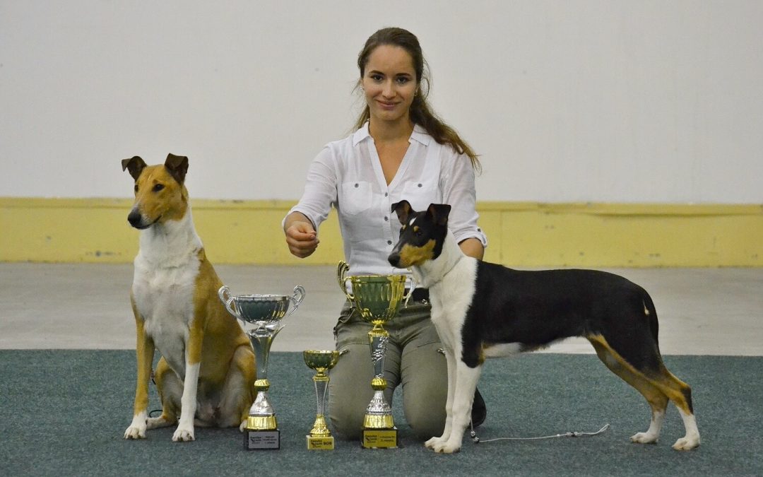 Mezinárodní výstava Bratislava 26.-28.10.2018