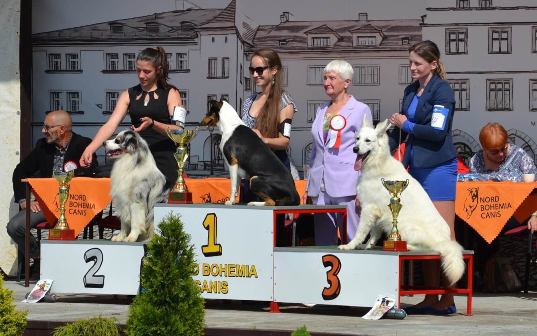 Mezinárodní výstava Litoměřice 18.5.2019