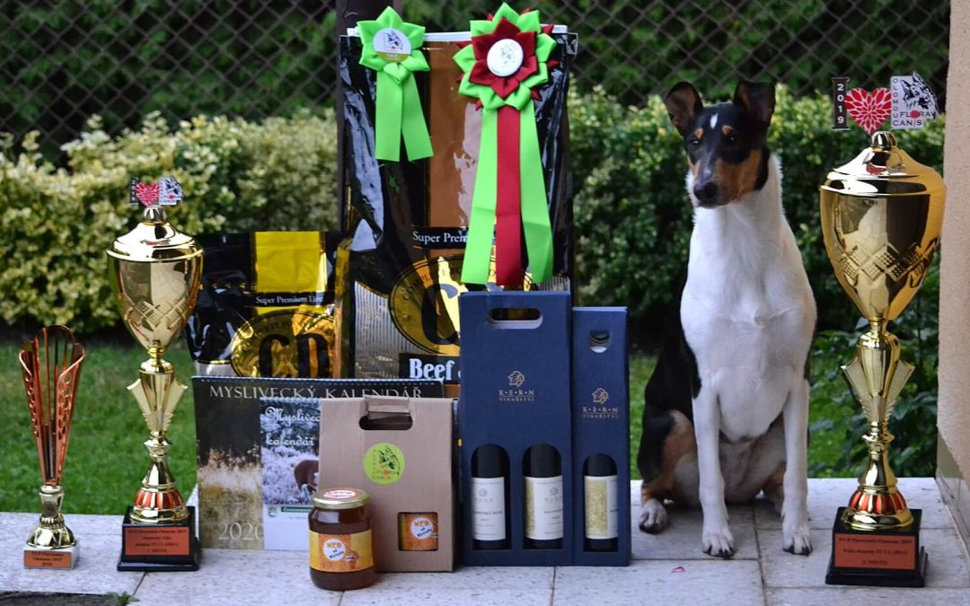 Národní výstava Floracanis Olomouc 7.9.2019