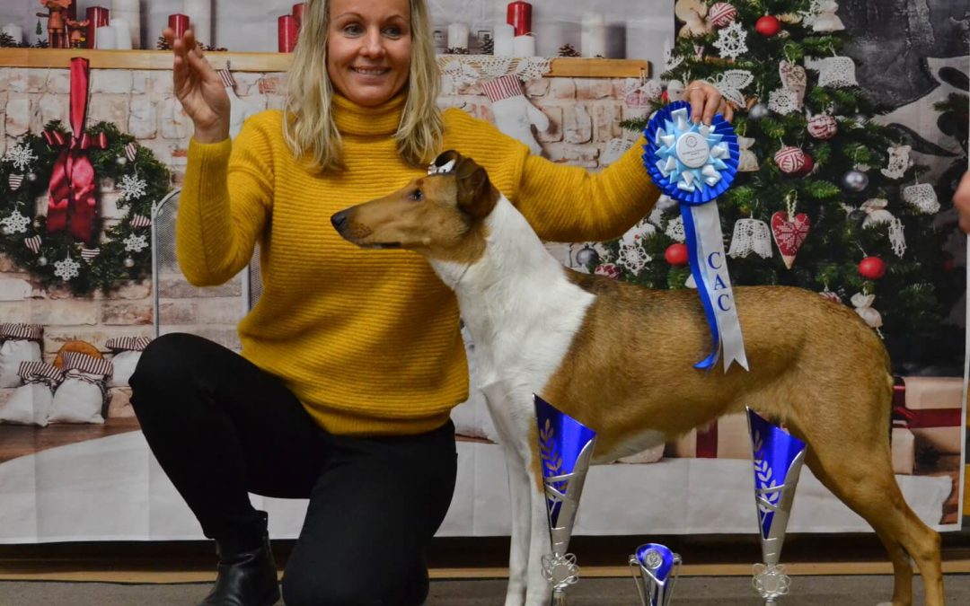 Klubová výstava Kladno 23.11.2019