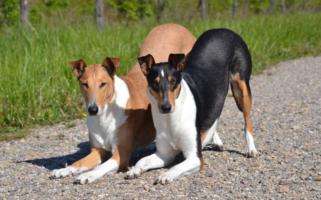 Jak se máme v karanténě