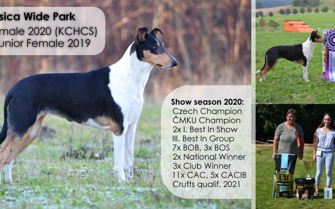 Brassica je NEJLEPŠÍ FENA ROKU 2020!