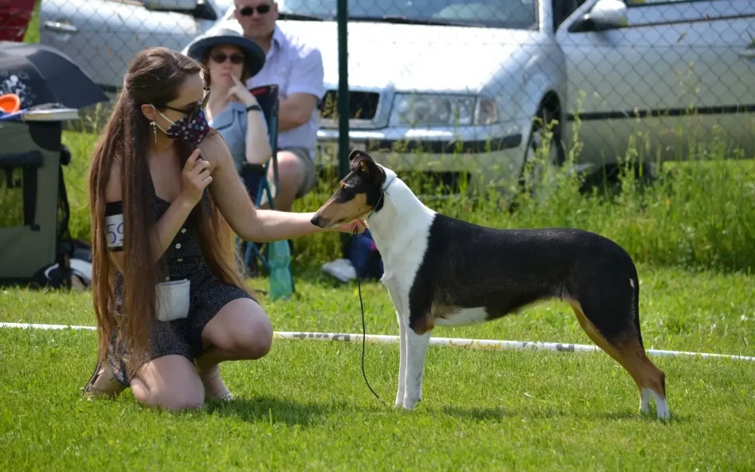 Výstavy Brno a Horní Počernice 5.-6.6.2021