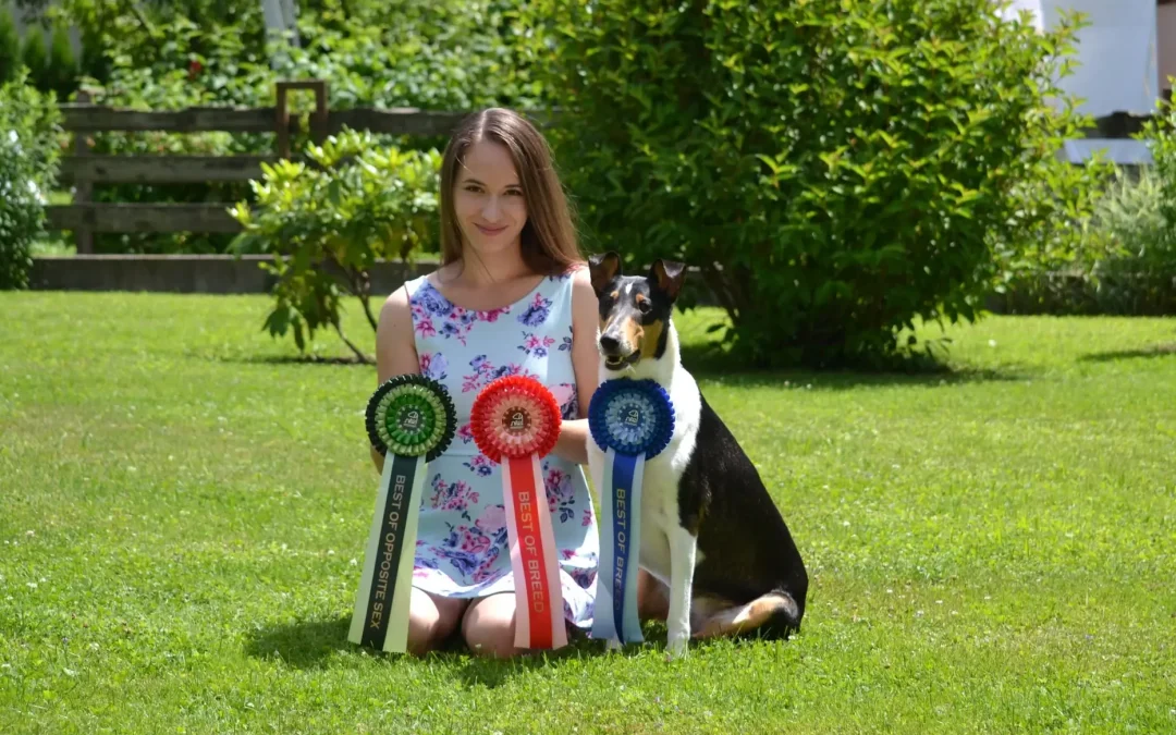 Mezinárodní výstava Nitra 9.-11.7.2021