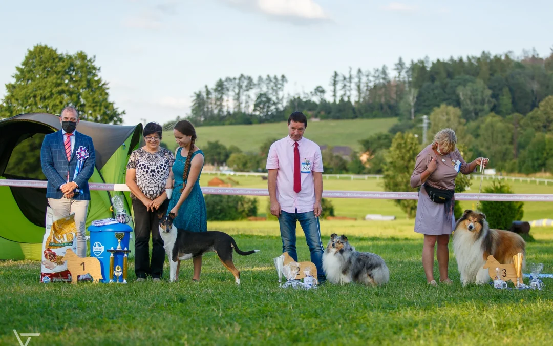 Klubová výstava Humpolec 7.8.2021