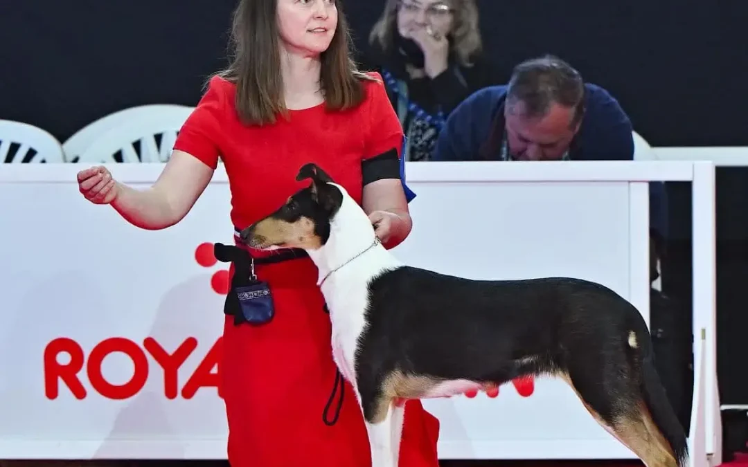 Evropská výstava Paříž 2022 – 3. BIS Puppy pro Droseru!