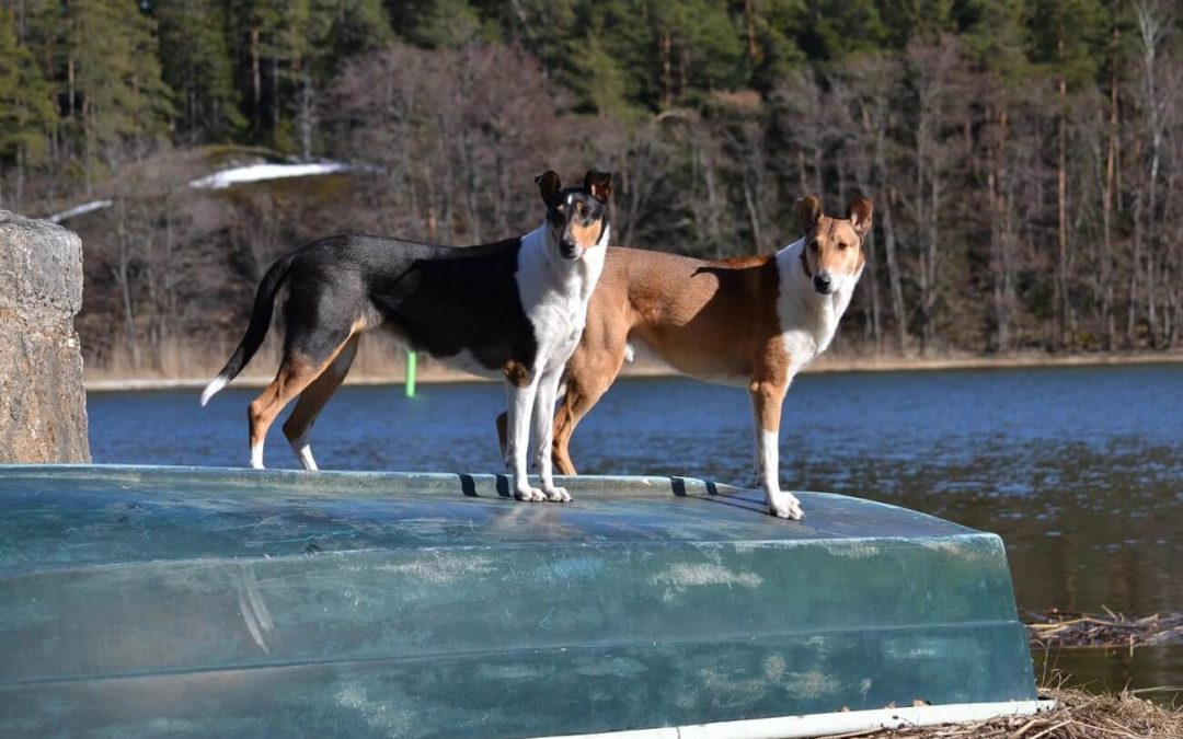 Náš výlet do Finska – duben 2022