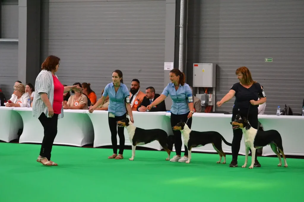 Wide Park - Brassica, Drosera, Derris