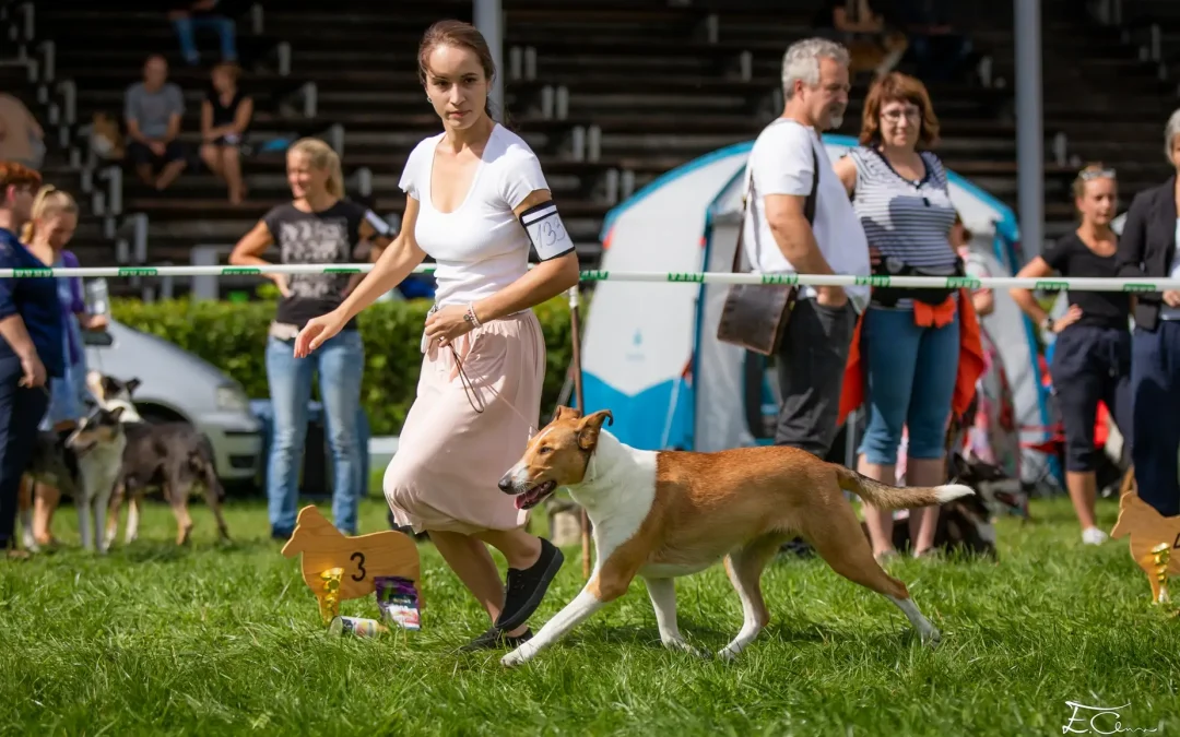 Výsledky výstav – září 2022 (Olomouc, Humpolec, Zlín)