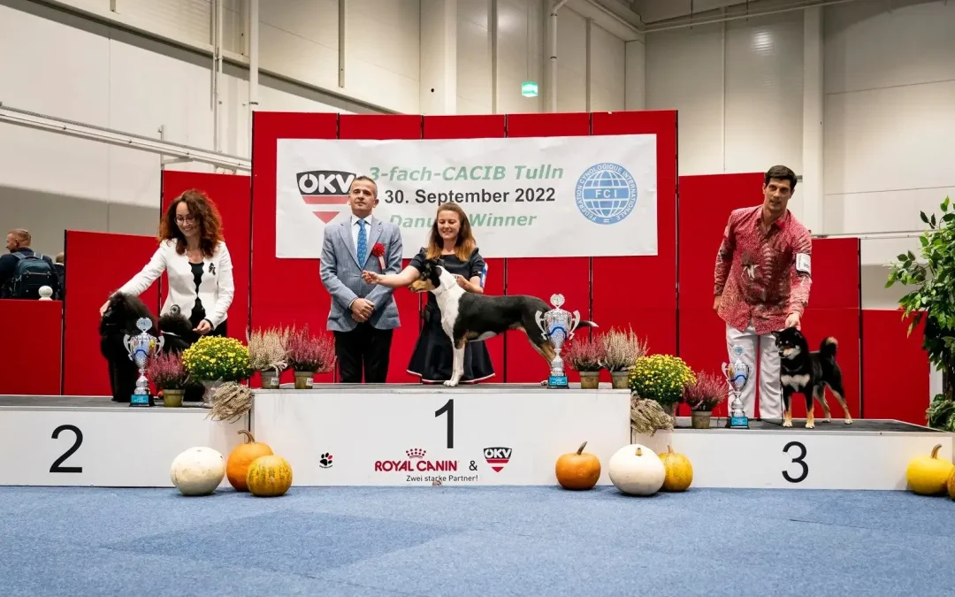 Drosera – BEST IN SHOW Junior na mezinárodní výstavě v Rakousku