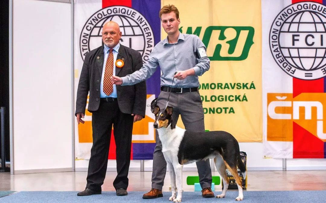 Výstavy Košice a České Budějovice – Ebenus, Derris, Callisia