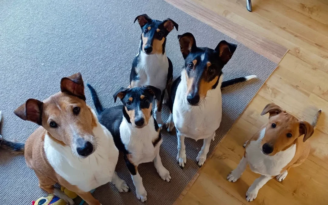 „F“iňátka jsou v nových domovech, Freya zůstává