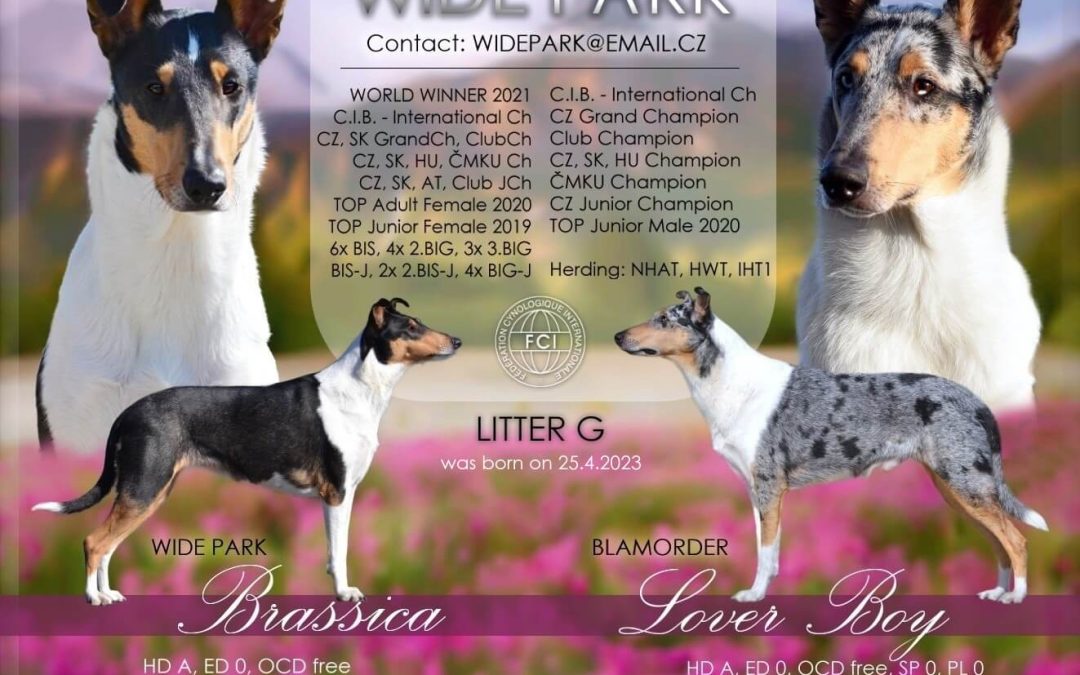 Vrh „G“ Wide Park je na světě!