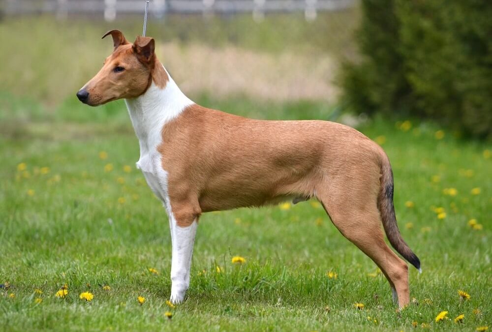 Výstavy: duben a květen 2023