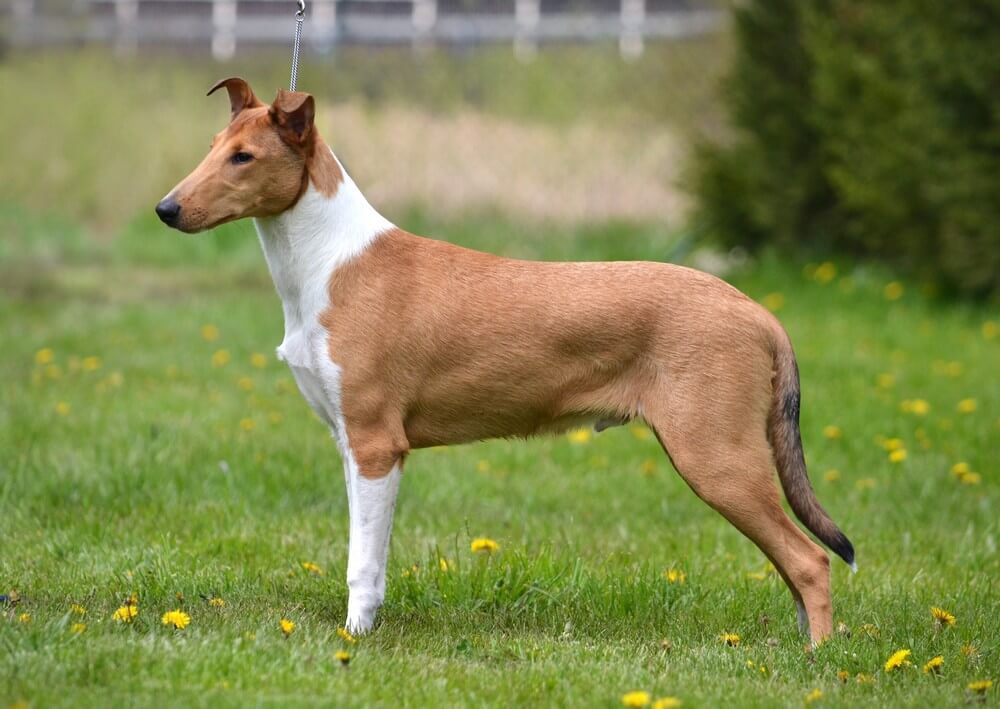 Výstavy: duben a květen 2023