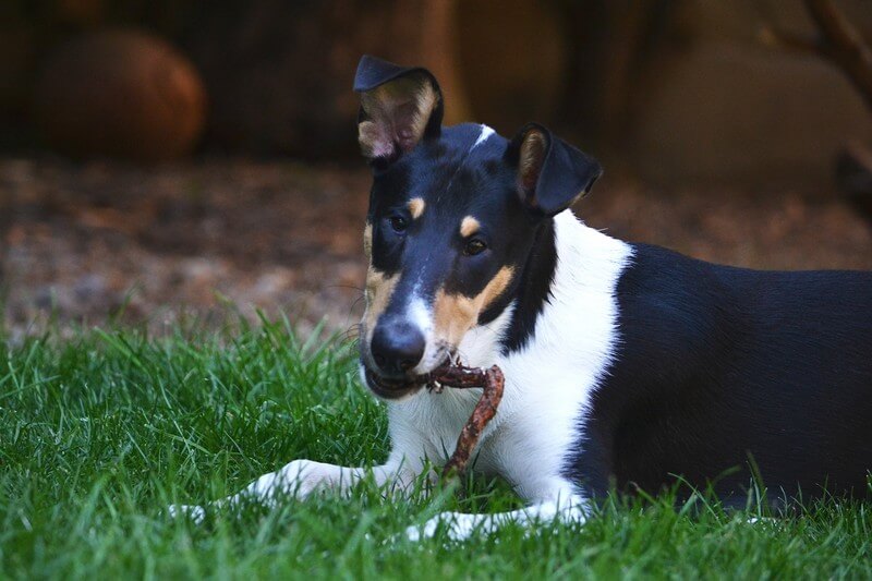 Novinky – srpen 2023