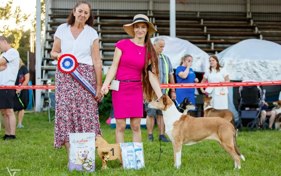 Speciální výstava Humpolec 10.9.2023