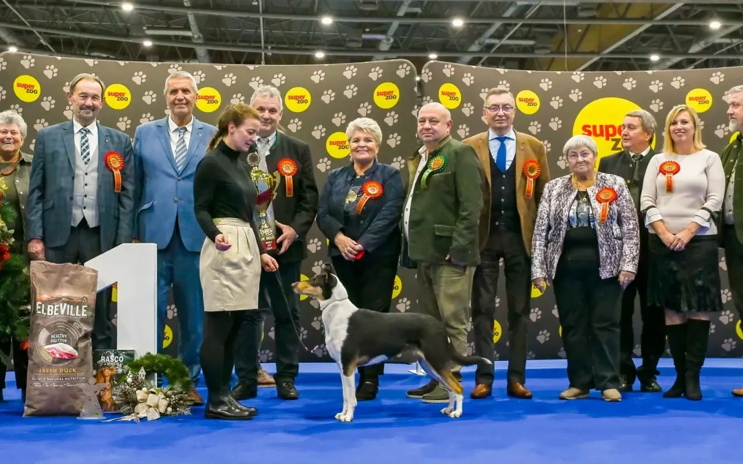 Výstavy Brno a Praha: prosinec 2023