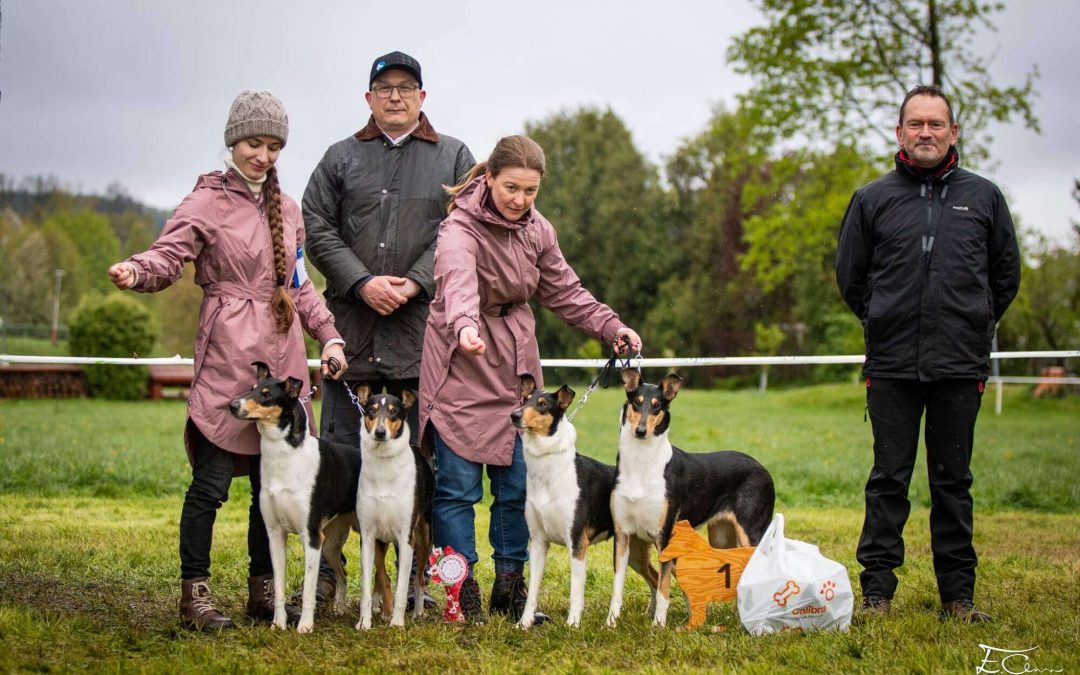 Klubová výstava Humpolec 20.-21.4.2024