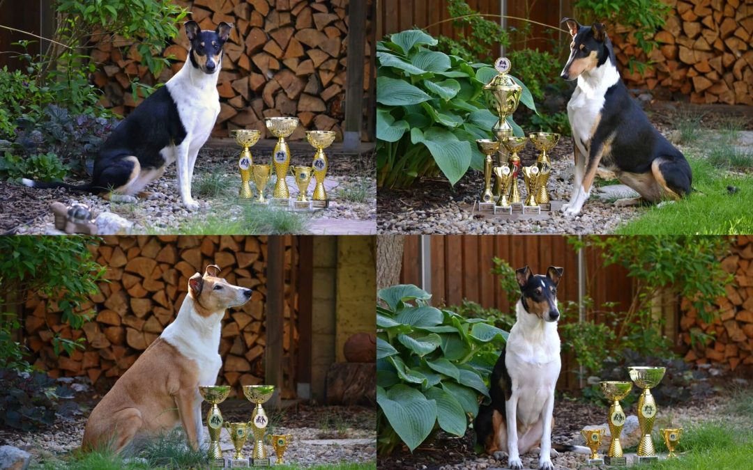 Klubová výstava Chropyně 11.-12.5.2024