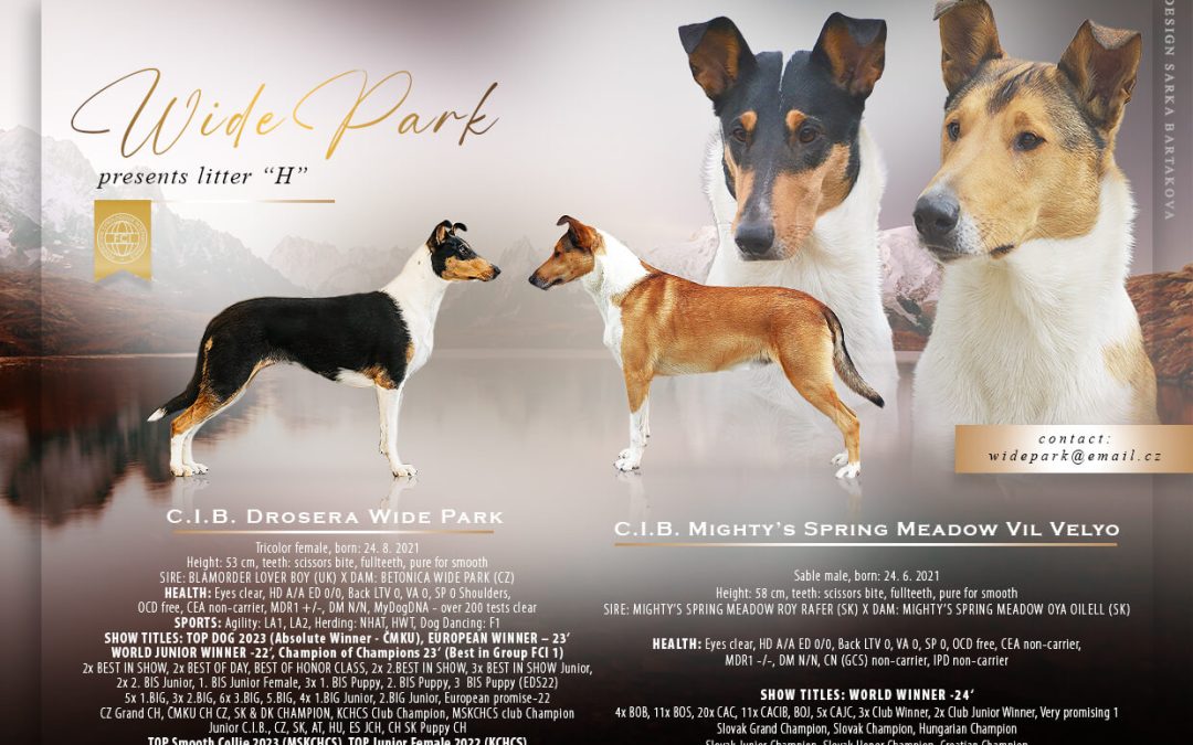 Drosera je březí – očekáváme vrh „H“ Wide Park