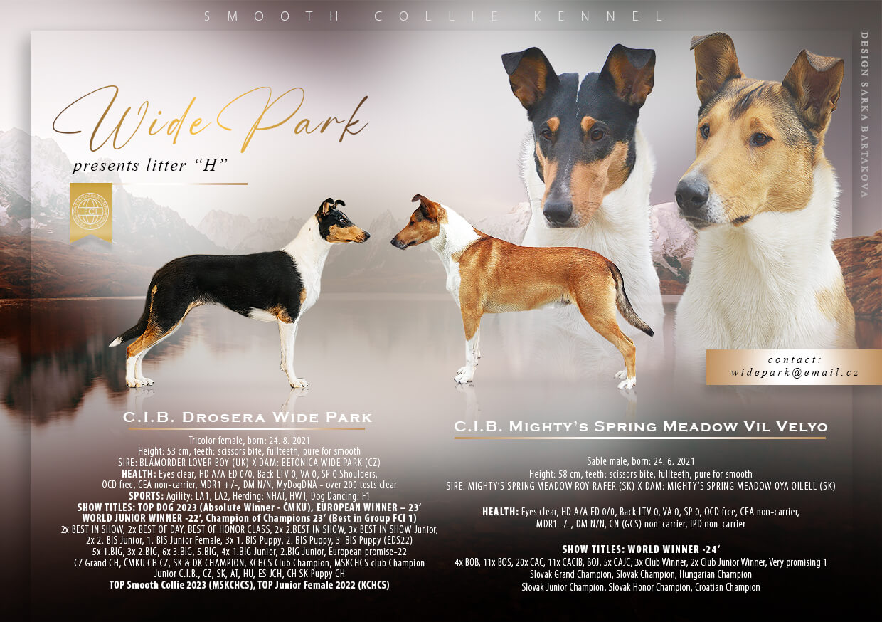 Drosera je březí – očekáváme vrh „H“ Wide Park